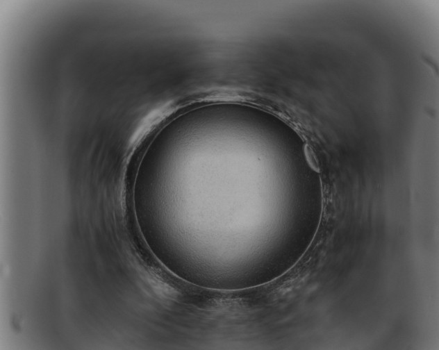 X0000091860296200709121335