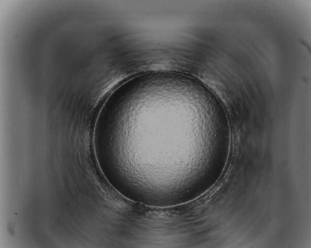 X0000091860297200709121335