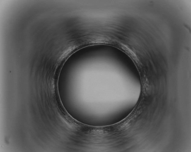 X0000091860298200709121335