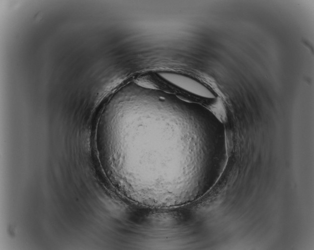 X0000091860299200709121335