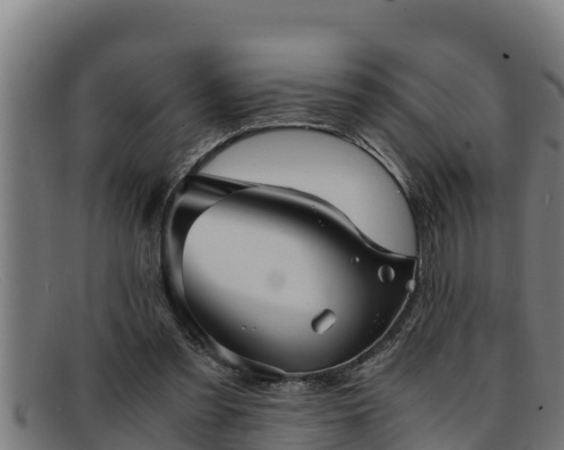 X0000091860301200709121335