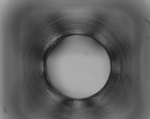 X0000091860302200709121335