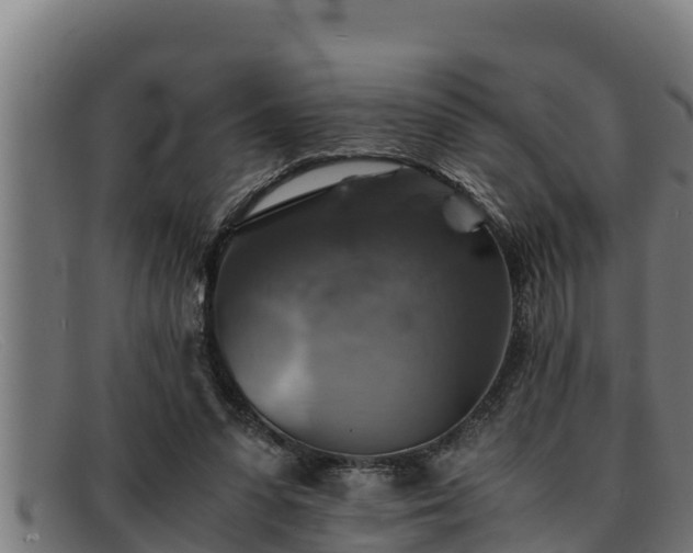 X0000091860303200709121335