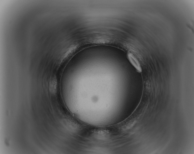 X0000091860304200709121335