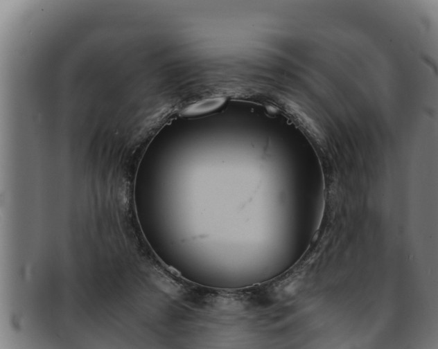 X0000091860305200709121335