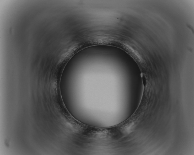 X0000091860306200709121335