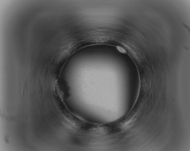 X0000091860307200709121335