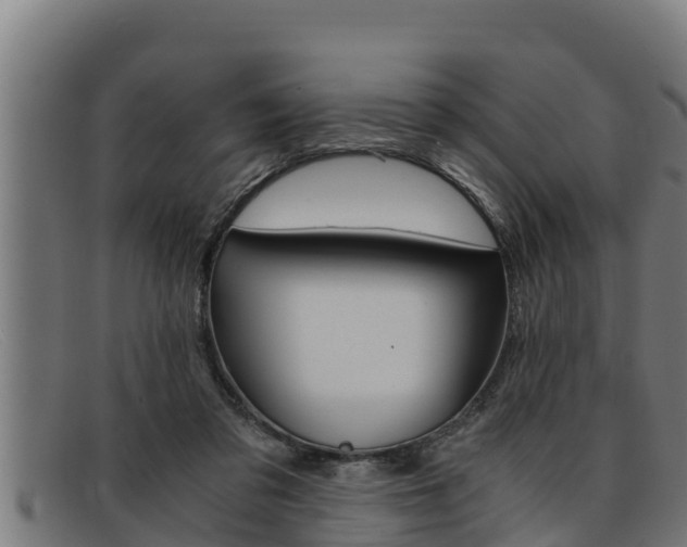 X0000091860309200709121335