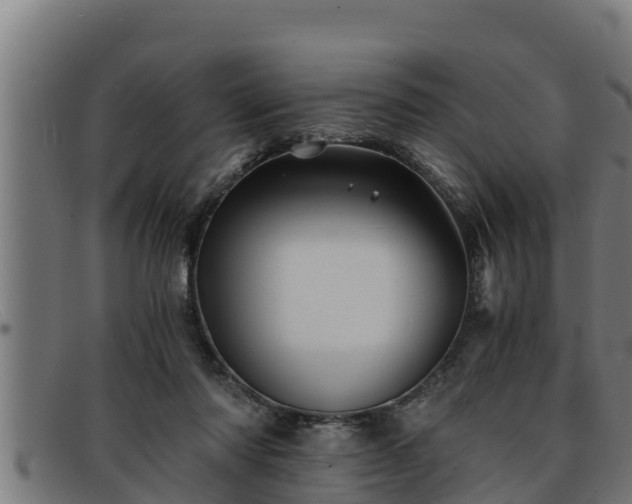 X0000091860310200709121335