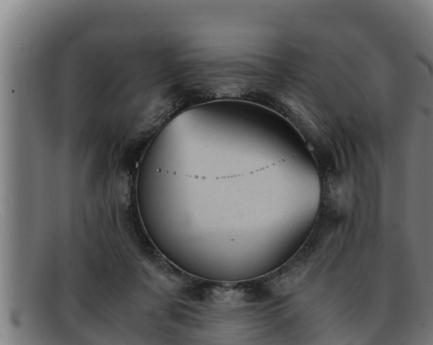 X0000091860311200709121335