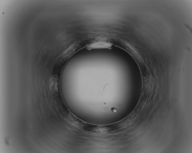 X0000091860313200709121335