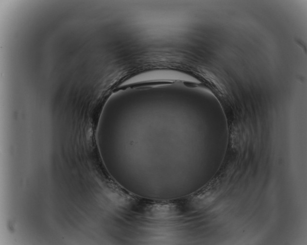 X0000091860314200709121335