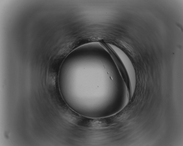 X0000091860315200709121335