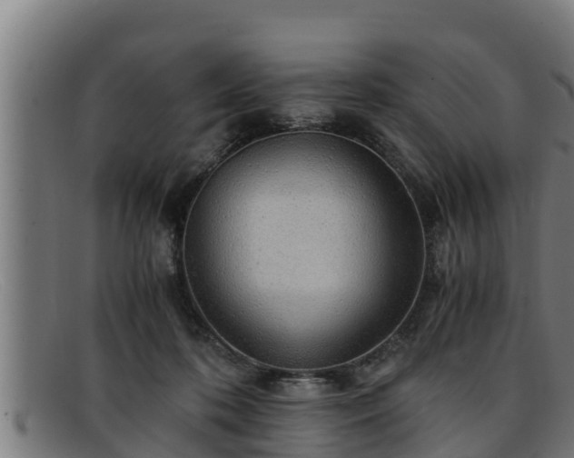 X0000091860316200709121335