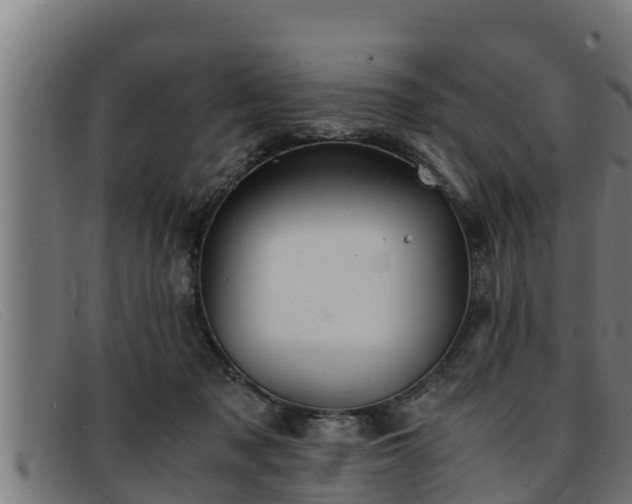 X0000091860317200709121335