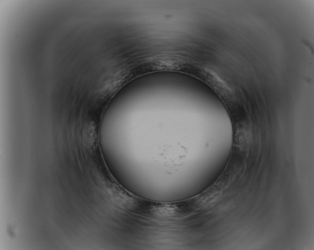 X0000091860318200709121335