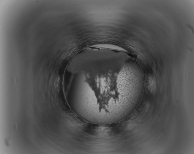 X0000091860319200709121335