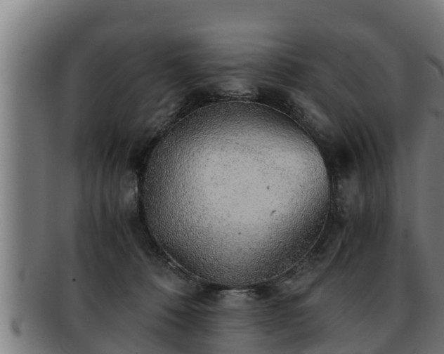 X0000091860320200709121335