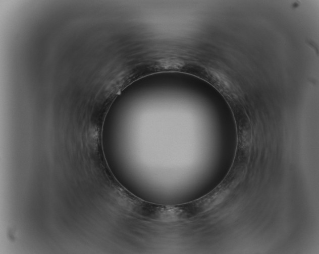 X0000091860321200709121335