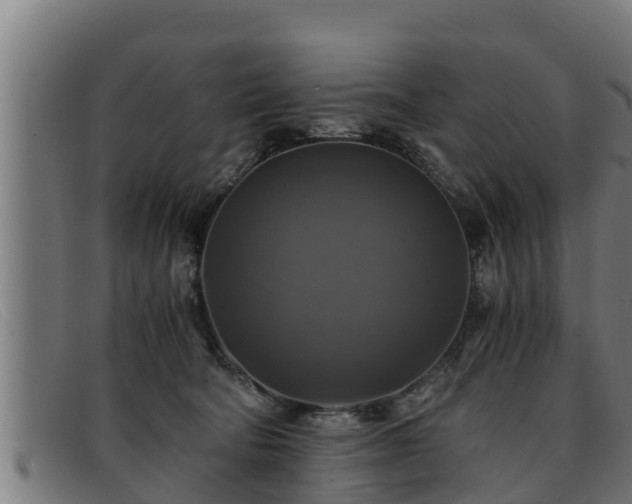 X0000091860322200709121335