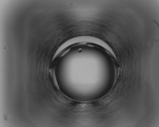 X0000091860323200709121335