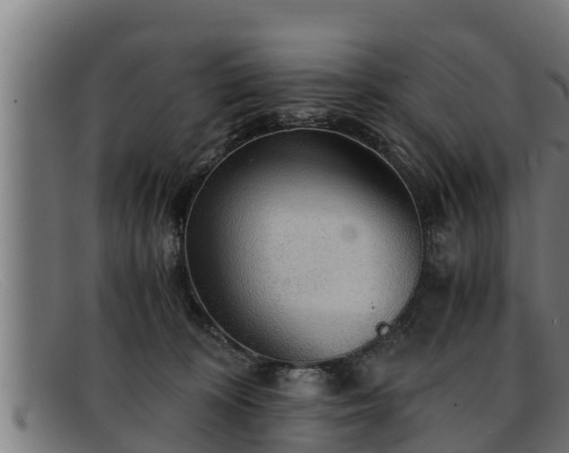 X0000091860324200709121335