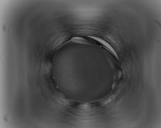 X0000091860325200709121335