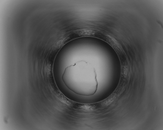 X0000091860326200709121335