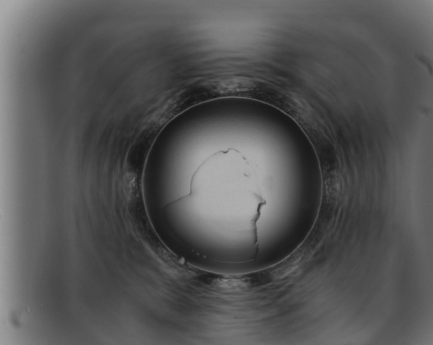 X0000091860327200709121334