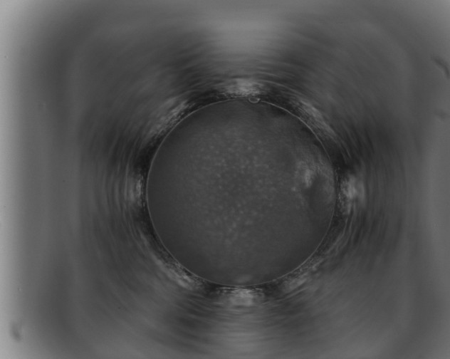 X0000091860330200709121334