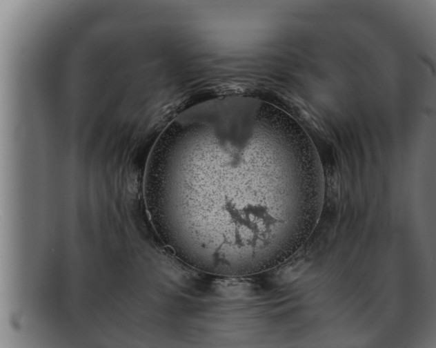 X0000091860331200709121334