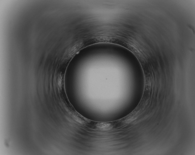 X0000091860334200709121334