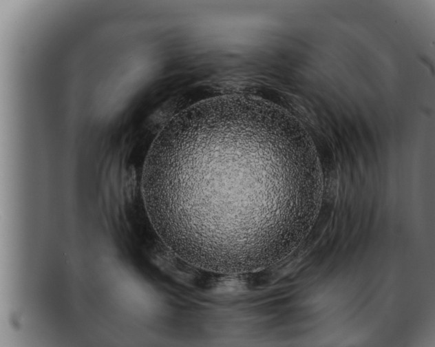 X0000091860335200709121334