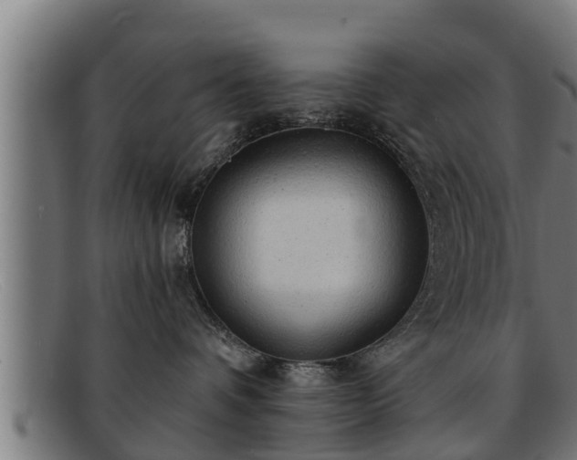 X0000091860336200709121334