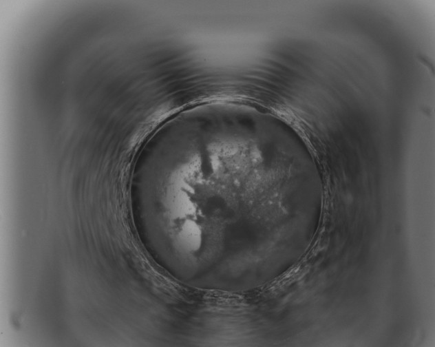 X0000091860337200709121334