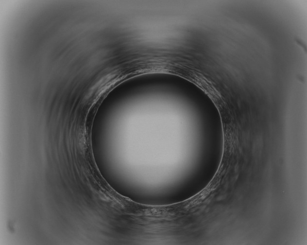 X0000091860338200709121334