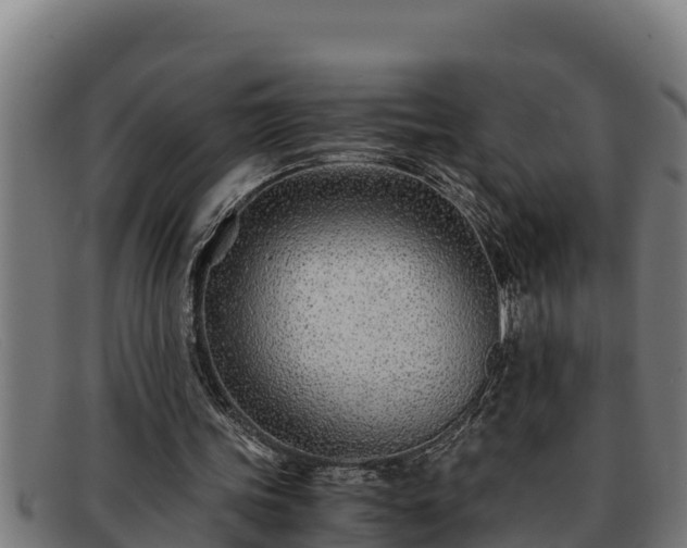 X0000091860339200709121334