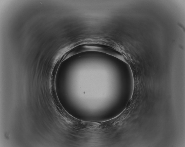 X0000091860340200709121334