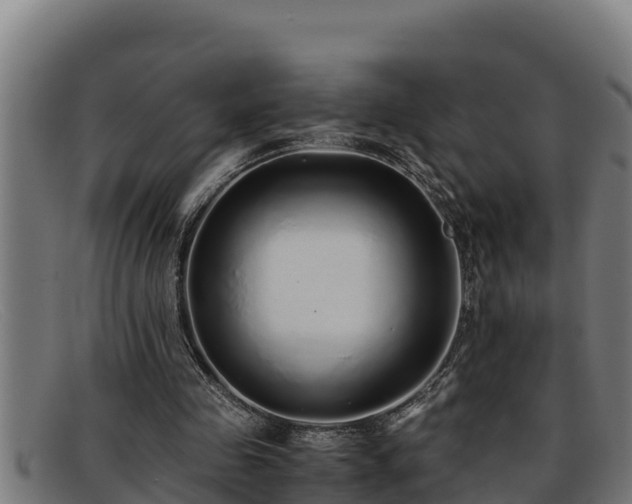 X0000091860341200709121334