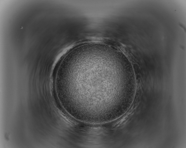 X0000091860342200709121334