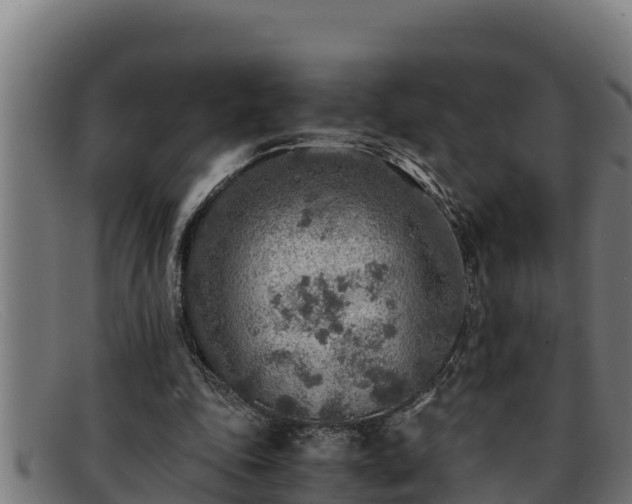 X0000091860343200709121334