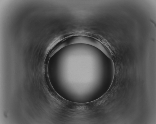 X0000091860344200709121334