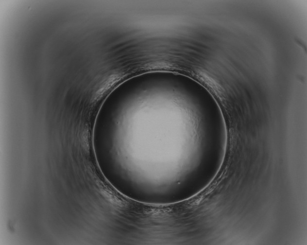 X0000091860345200709121334