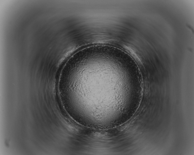 X0000091860346200709121334