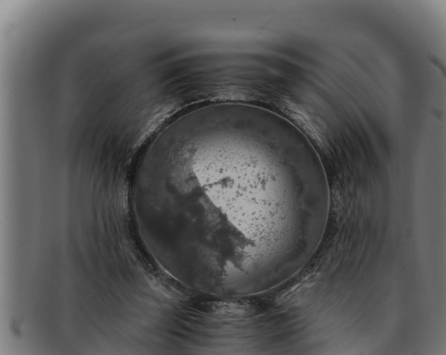 X0000091860347200709121334