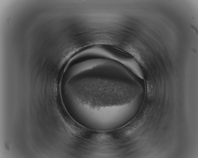 X0000091860348200709121334