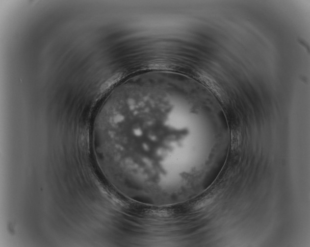 X0000091860349200709121334