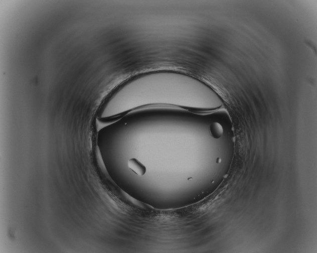 X0000091860350200709121334