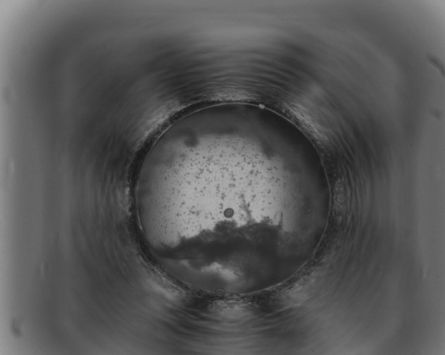 X0000091860351200709121334