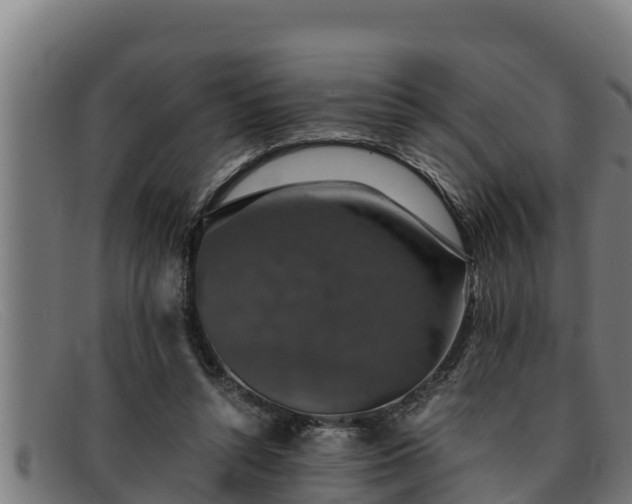 X0000091860352200709121334